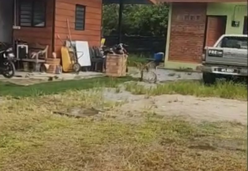 Tanah Pertanian Berserta Sebuah Rumah Di Sepang