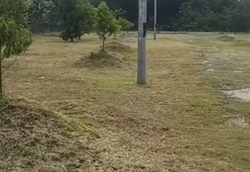 Tanah Pertanian Berserta Sebuah Rumah Di Sepang