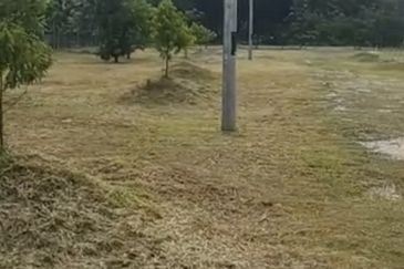 Tanah Pertanian Berserta Sebuah Rumah Di Sepang