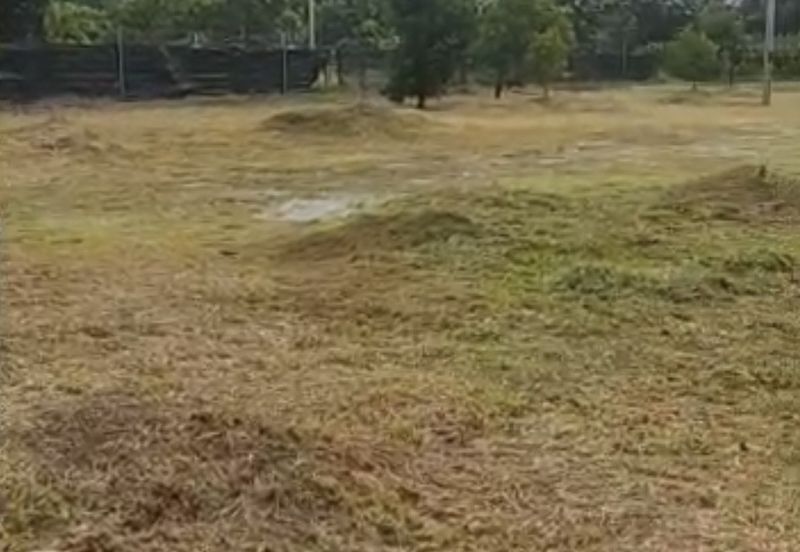 Tanah Pertanian Berserta Sebuah Rumah Di Sepang