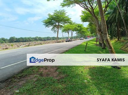 Pontian Agri Land-Facing Main Road , Johor, Pontian