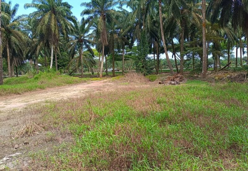 Rimba Terjun Pontian