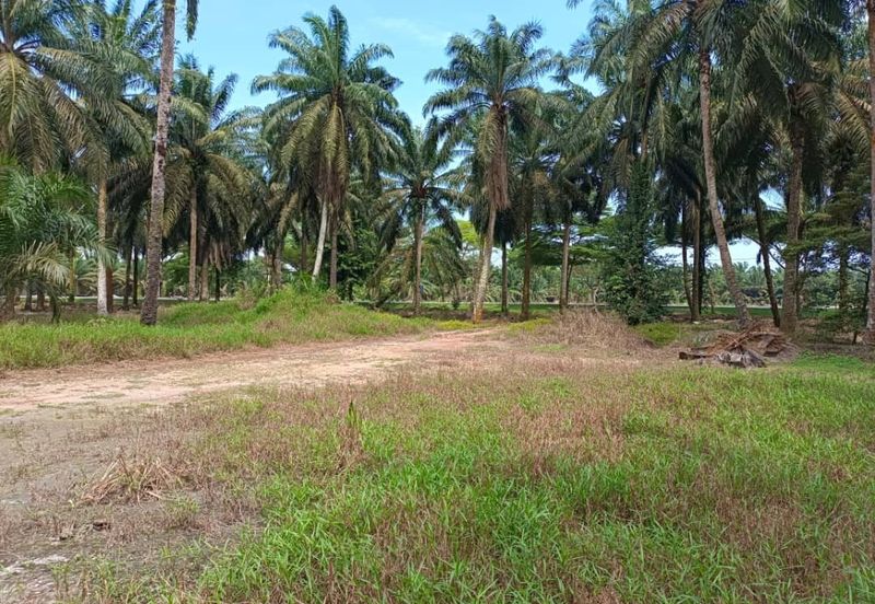 Rimba Terjun Pontian