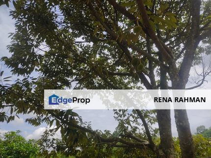 Agricultural land in Rasah Kemayan Seremban, Negeri Sembilan, Seremban