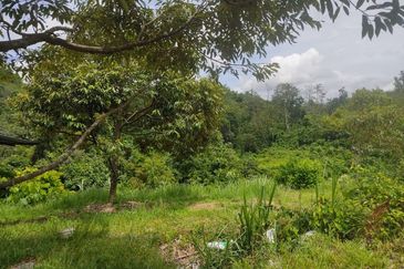 Agricultural land in Rasah Kemayan Seremban
