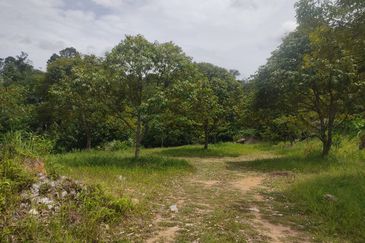 Agricultural land in Rasah Kemayan Seremban