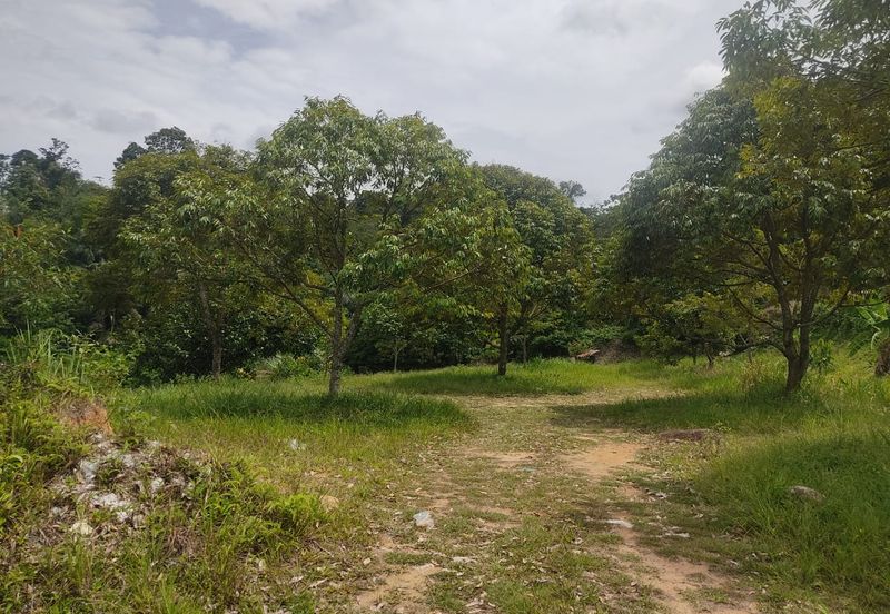 Rasah Kemayan Agricultural land in Seremban