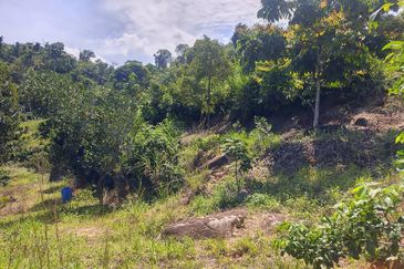 Agricultural land in Rasah Kemayan Seremban