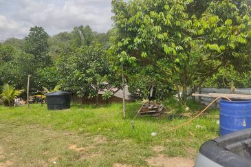 Agricultural land in Rasah Kemayan Seremban