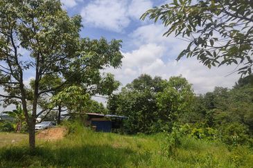 Agricultural land in Rasah Kemayan Seremban