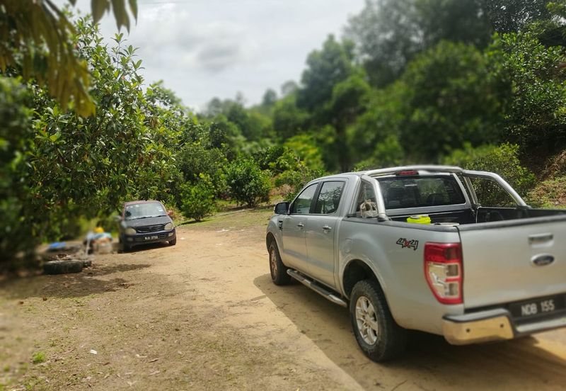 Rasah Kemayan Agricultural land in Seremban