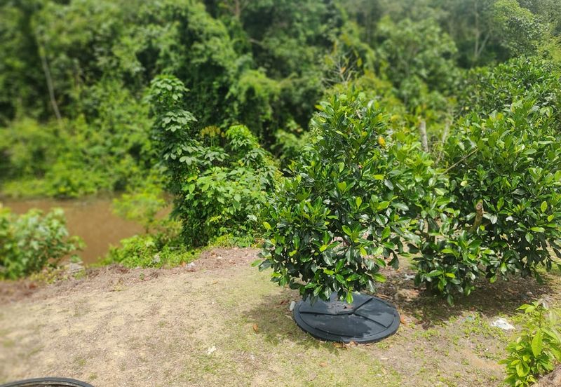 Rasah Kemayan Agricultural land in Seremban
