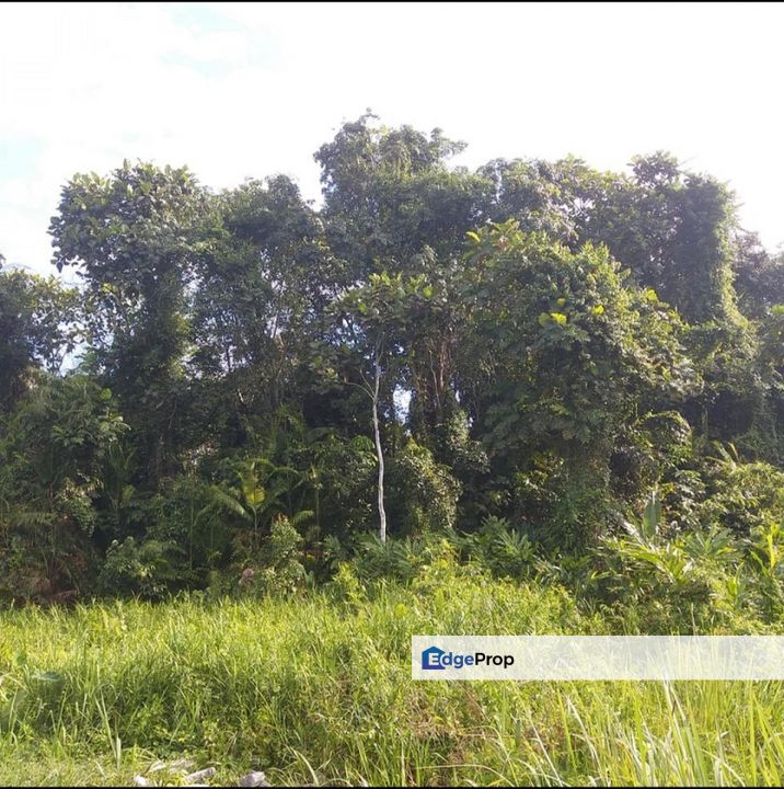 FREEHOLD TANAH PERTANIAN 1.3 EKAR Sg Merab Luar, Selangor, Kajang