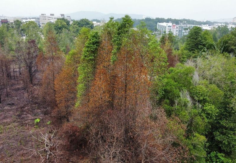 Bandar Bukit Mahkota