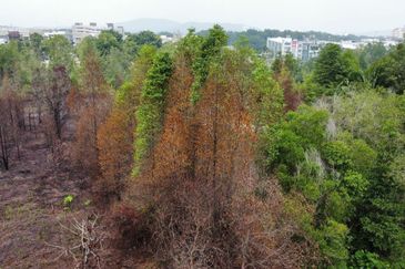 Bandar Bukit Mahkota Kajang