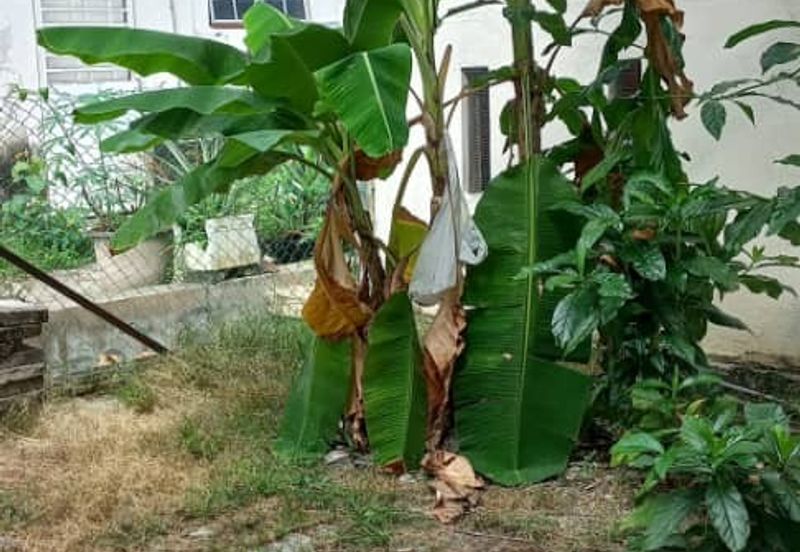 Seksyen 7, Bandar Baru Bangi