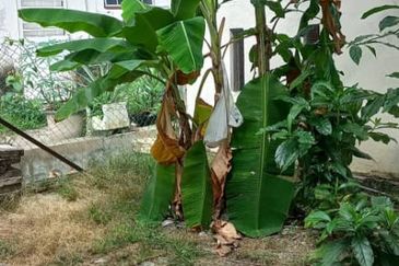 Seksyen 7, Bandar Baru Bangi