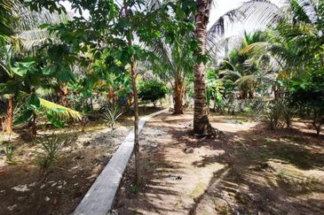 Seksyen 4, Bandar Baru Bangi