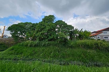 Jalan Anggerik Sungai Ramal Kajang Agriculture Land FREEHOLD MALAY RESERVE For Sale