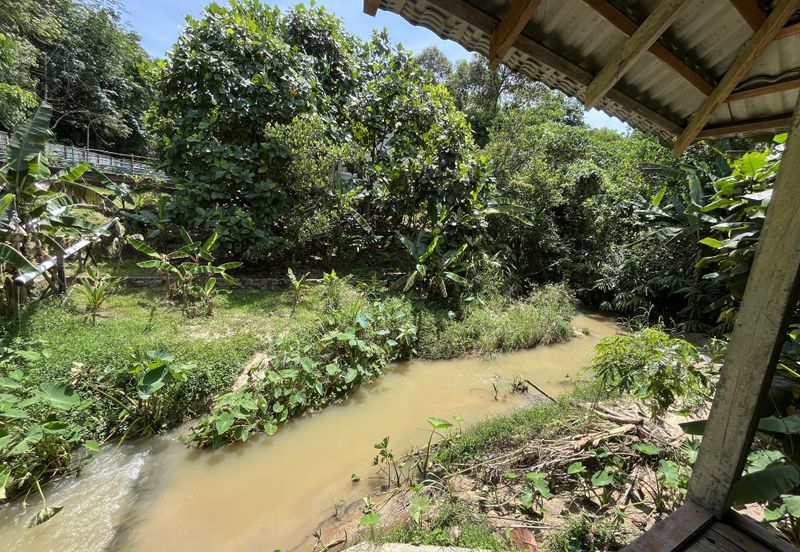 Escape to Nature: Orchard Living with Income Potential from Musang King Durians