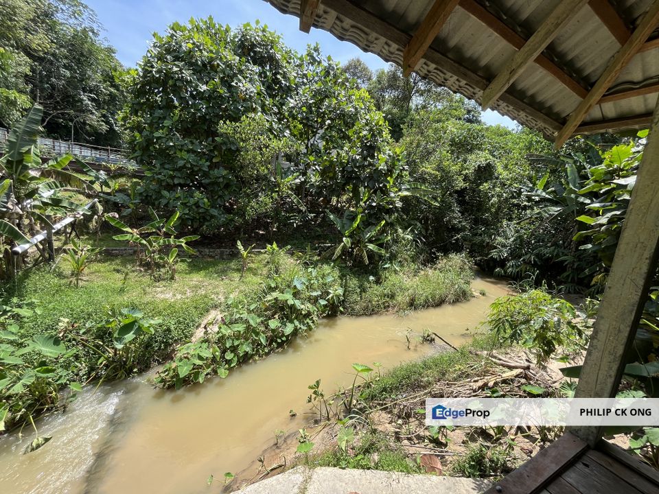 Escape to Nature: Orchard Living with Income Potential from Musang King Durians, Selangor, Hulu Selangor