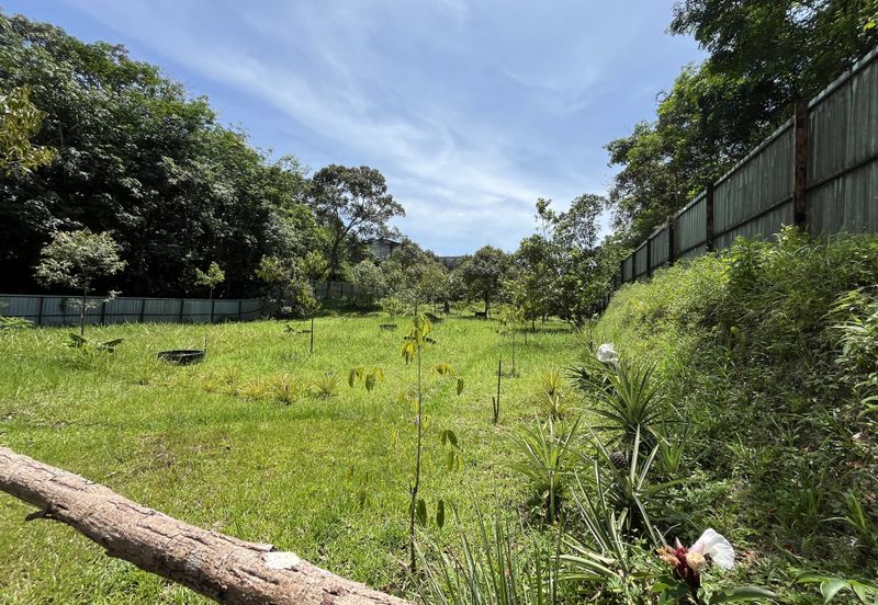 Escape to Nature: Orchard Living with Income Potential from Musang King Durians