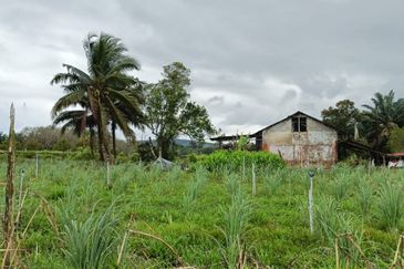 Kota Tinggi Agriculture Land For Sale