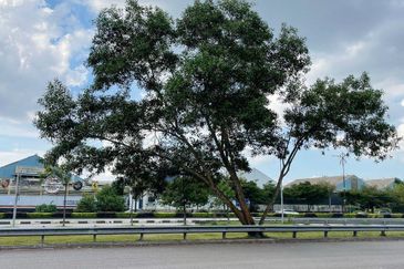 Bandar Baru Permas Jaya