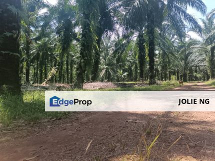 Pontian Industry Zoning Land For Sale, Johor, Pontian