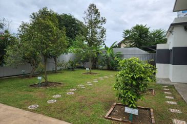 TAMAN TANJUNG MINYAK (TANJUNG MINYAK)