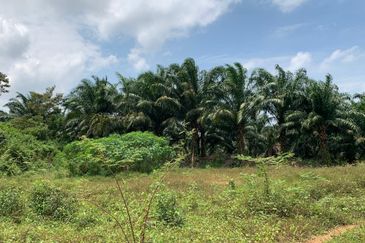 Freehold Roadside Ayer Molek 2.45ac 