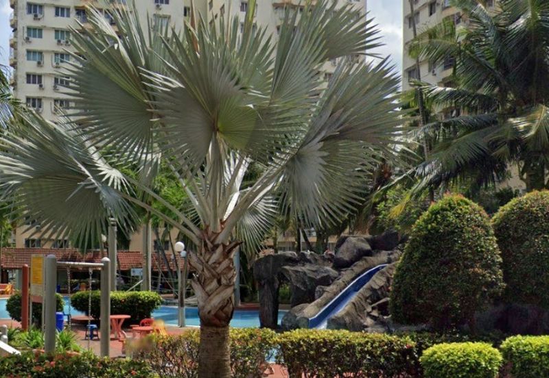 Garden City Melaka Service Apartments