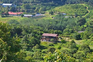 Freehold Eco Tourist Durian Farm Ayer Pa'abas Alor Gajah Melaka