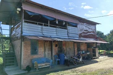 Freehold Eco Tourist Durian Farm Ayer Pa'abas Alor Gajah Melaka