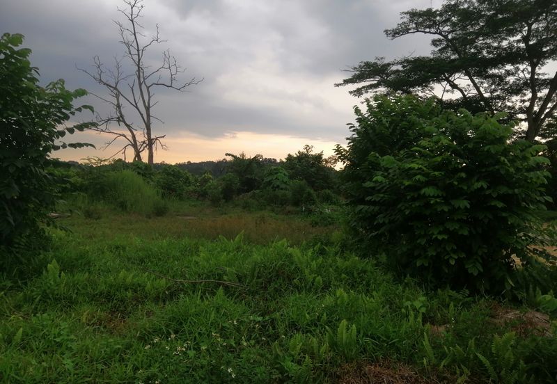 Monterez Golf & Country Club