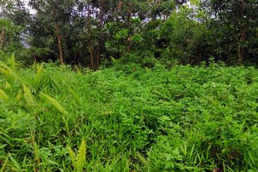 Monterez Golf & Country Club