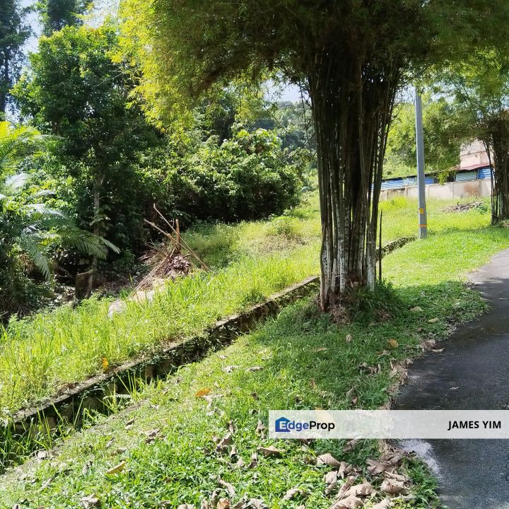 Beautiful Seroja Land @ saujana utama , Selangor, Sungai Buloh