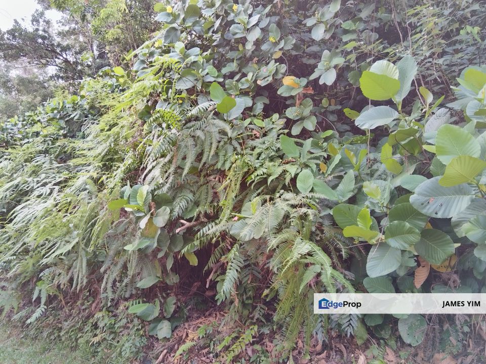 Beautiful bungalow lot @Putra Hill, Selangor, Bukit Rahman Putra