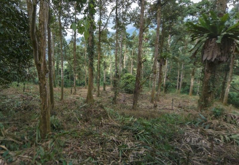 Agriculture Land @ Taiping