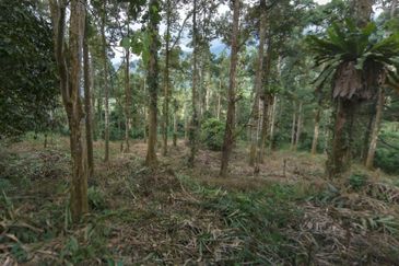 Agriculture Land @ Taiping