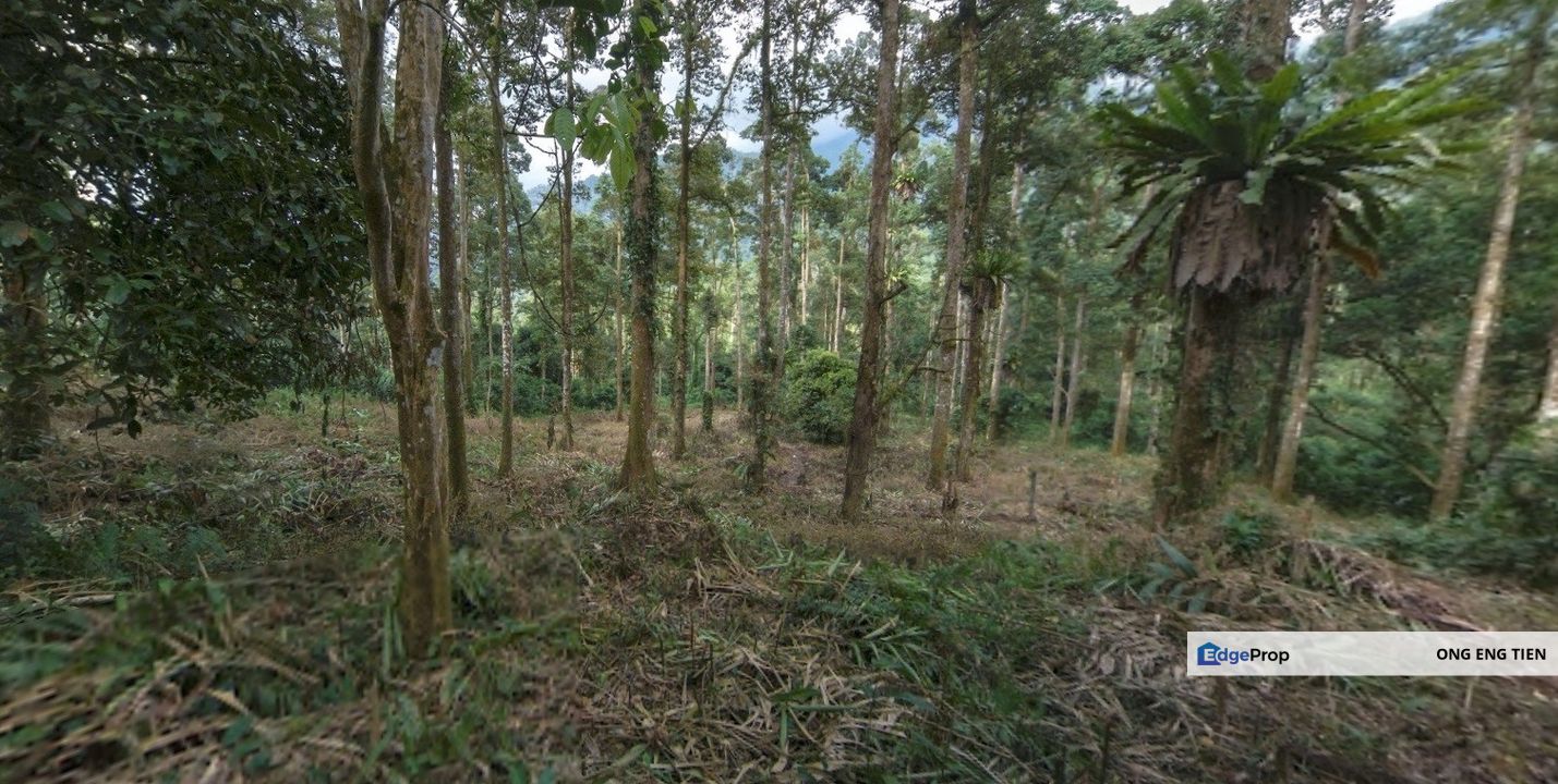 22 Acres Agriculture Land for Resort Retreat Taiping Lake Garden Perak, Perak, Taiping