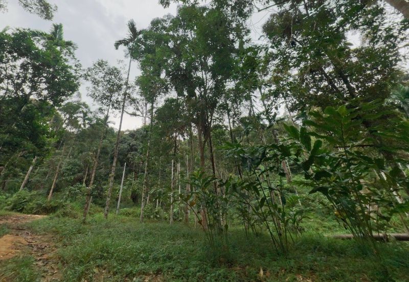 Agriculture Land @ Taiping