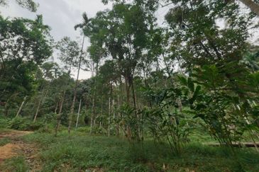 Agriculture Land @ Taiping