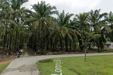 Batang Berjuntai @ Bestari Jaya