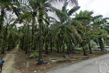 Batang Berjuntai @ Bestari Jaya