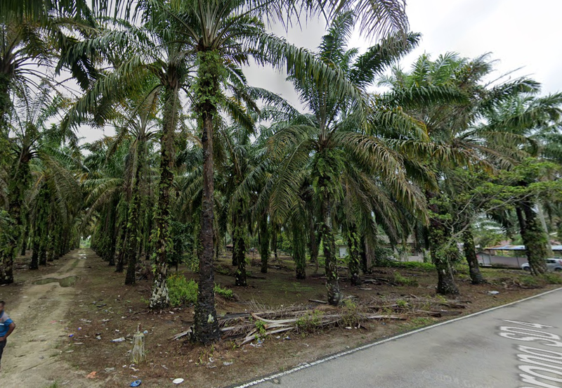 Batang Berjuntai @ Bestari Jaya