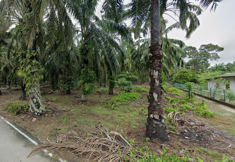 Batang Berjuntai @ Bestari Jaya