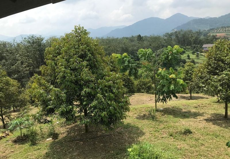 Kerling Industrial Land