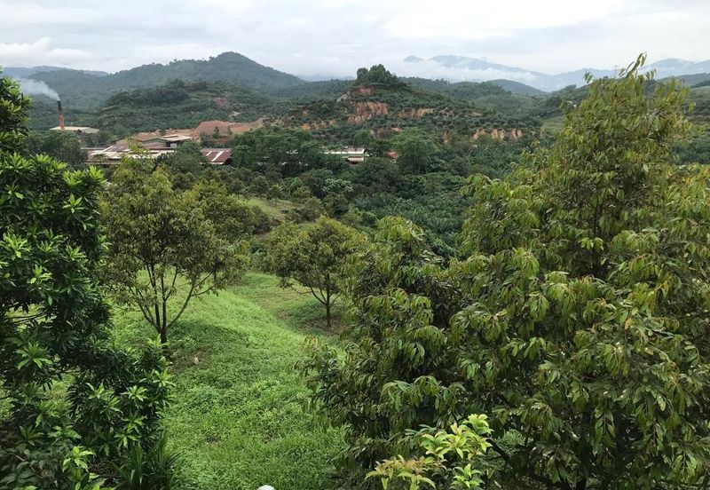 Kerling Industrial Land