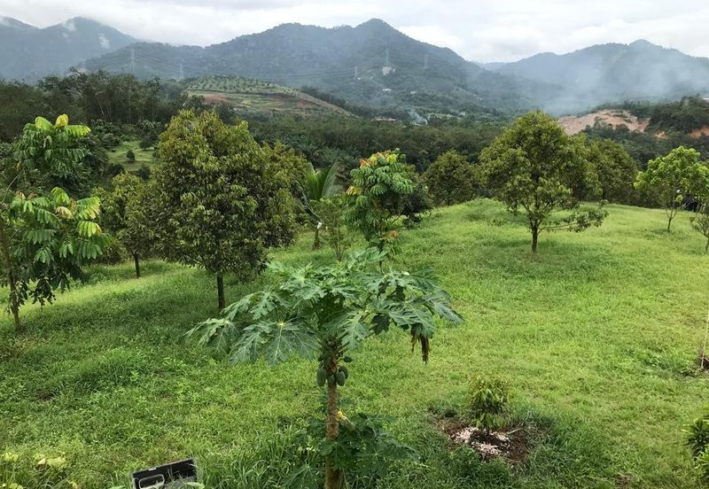 Kerling Industrial Land